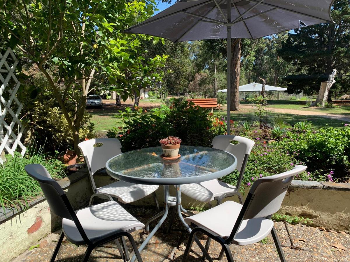 Swan Cove Beachfront Raymond Island Εξωτερικό φωτογραφία